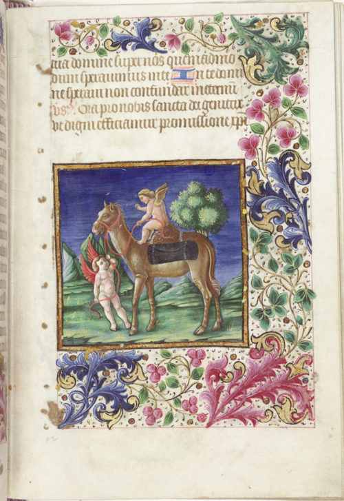 Cherubs and Camel – Book of Hours
